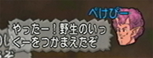 20140921154.jpg